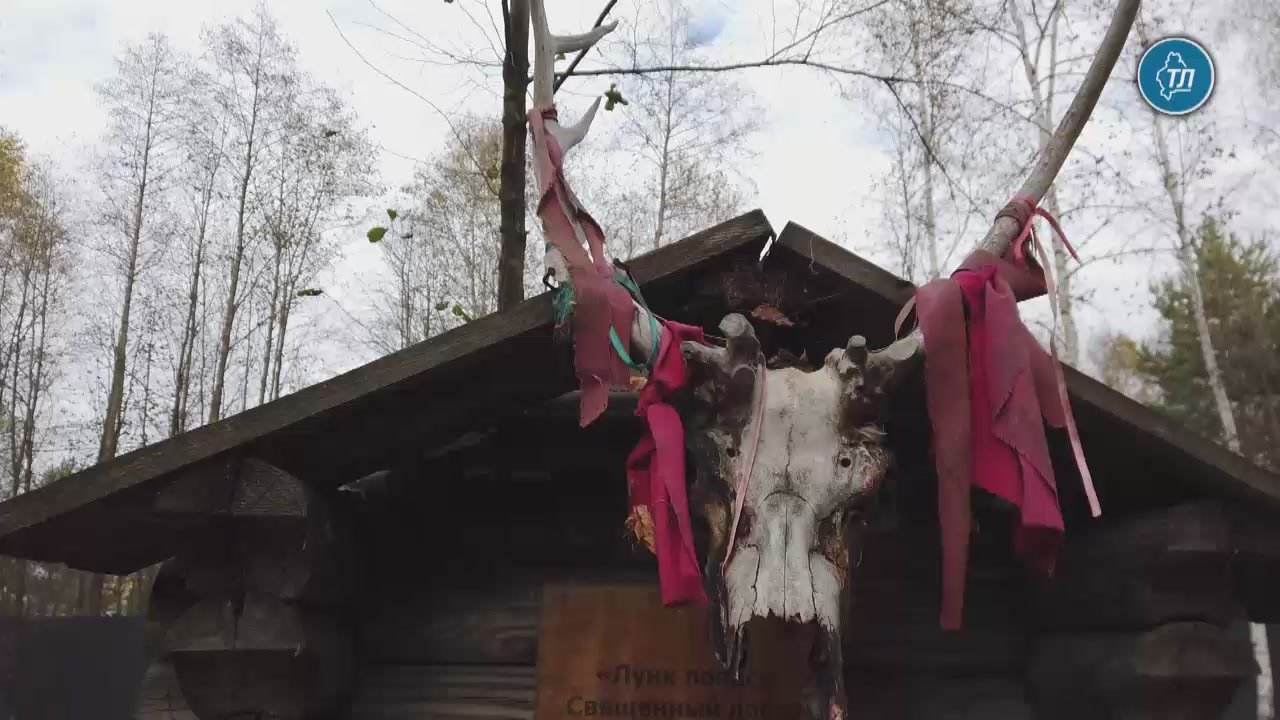 Коллекция жилищ народов ханты и манси представлена на этностойбище под Тюменью