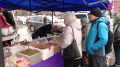 В Тюмени сегодня проходят продовольственные ярмарки
