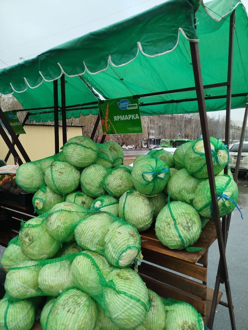 Доброе утро, дорогие тюменцы и гости нашего замечательного города! Доброе утро, дорогие тюменцы и гости нашего замечательного города!