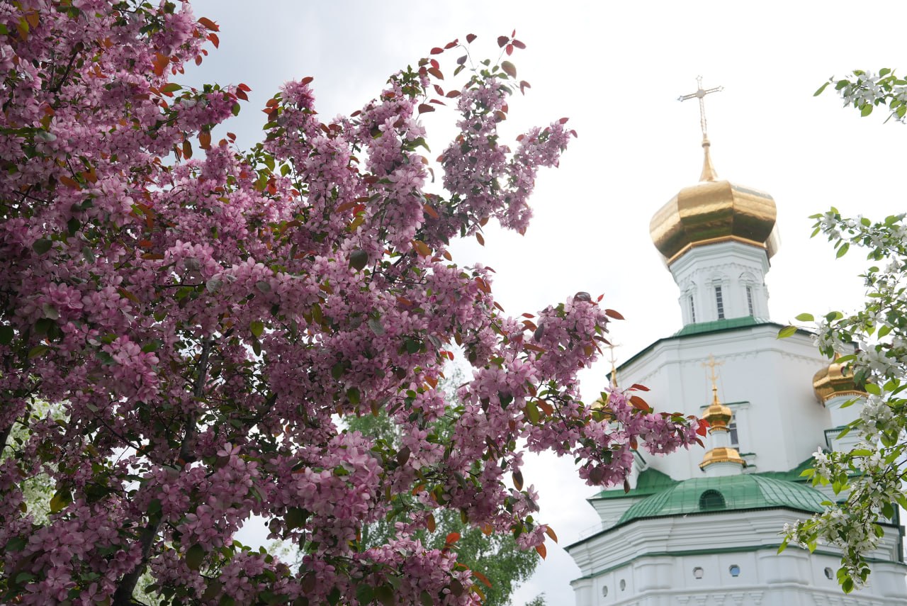 Максим Афанасьев: Дорогие сибиряки!. От всего сердца поздравляем вас с Днём Сибири — праздником, который напоминает о величии и могуществе нашего региона, о его богатой истории и неиссякаемом потенциале живущих здесь людей!... Максим Афанасьев: Дорогие сибиряки!. От всего сердца поздравляем вас с Днём Сибири — праздником, который напоминает о величии и могуществе нашего региона, о его богатой истории и неиссякаемом потенциале живущих здесь людей!...