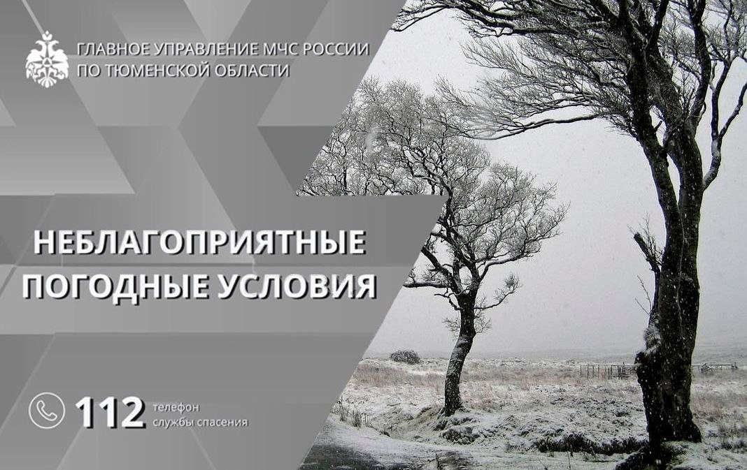 Главное управление МЧС России по Тюменской области информирует