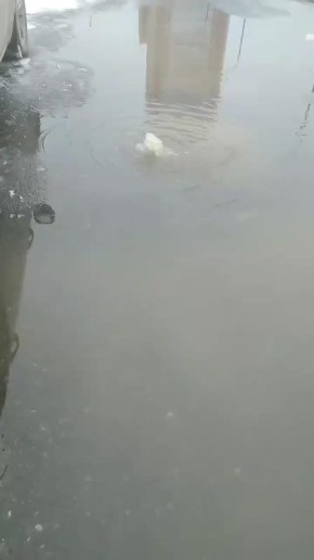 Сезон фонтанов закончился, но фонтаны об этом не знают