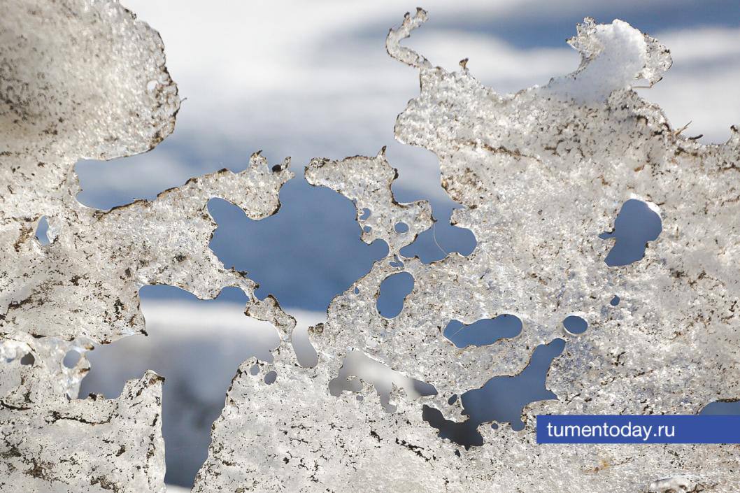 Главное на сегодня, 10 ноября: