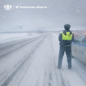На Тюменскую область надвигается сильный ветер и метель