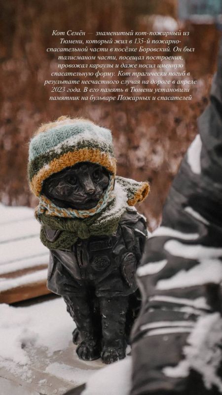 Памятник коту Семену, история которого вызывает слезы у тюменцев, утеплили заботливые горожане с наступлением холодов