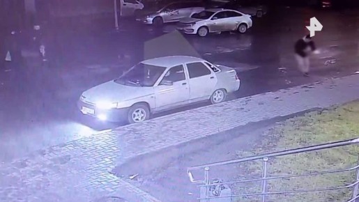 Водитель переехал беременную собаку в Тюмени — самка выжила, но потеряла пять щенков