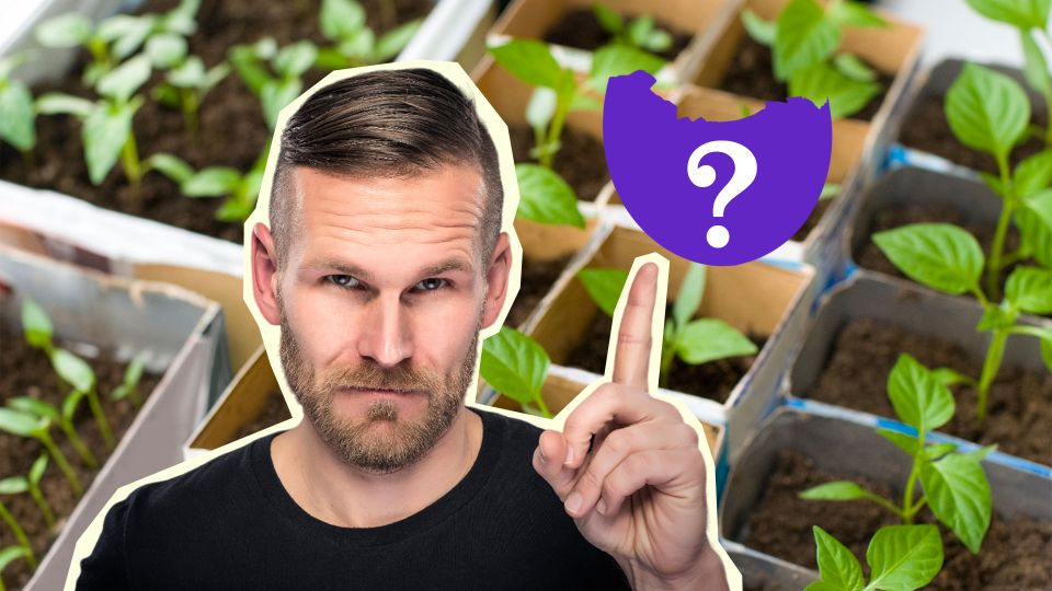 Лучше емкости для рассады и не придумаешь: вы зря выбрасывали эти отходы