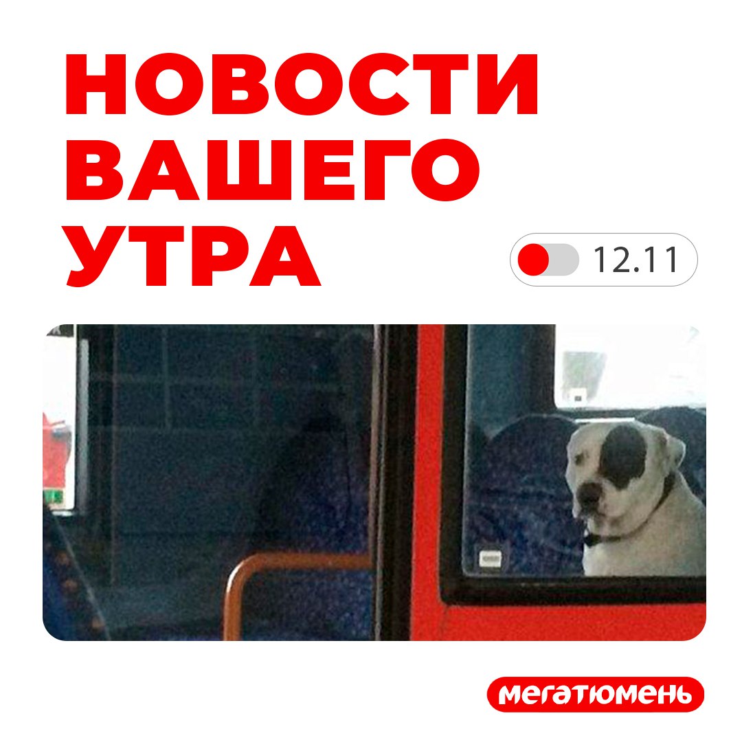 Цена на проезд в общественном транспорте снова подскочит в цене - на сколько?