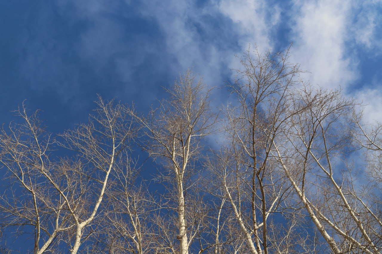 Вдохнули вторую жизнь. У Утиного пруда праздник Вдохнули вторую жизнь. У Утиного пруда праздник