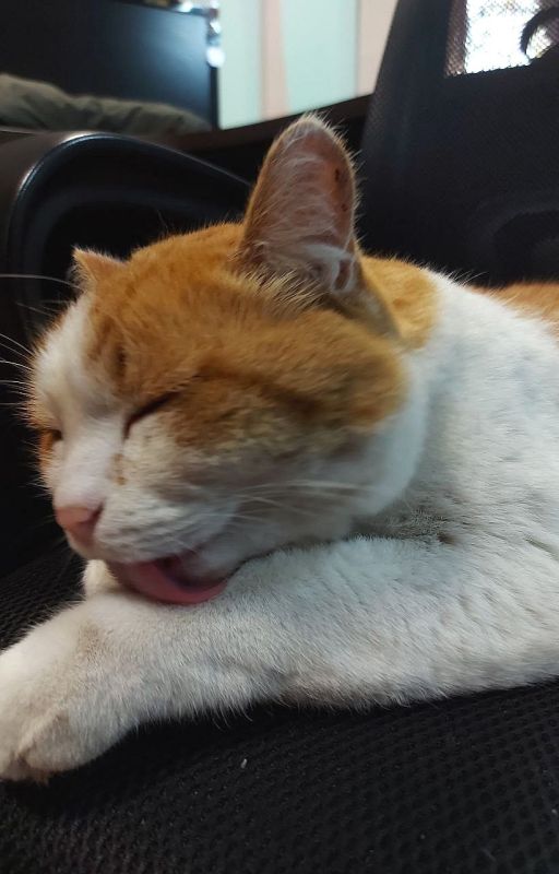    !. ? , ! ----!    ,    ,         !   !   : ...