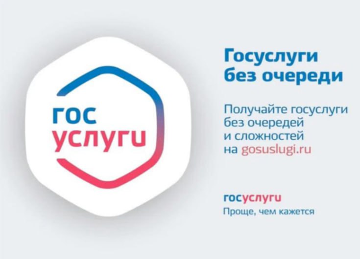 26 услуг на Госуслугах. Если у вас появилась жизненная потребность в решении вопросов в