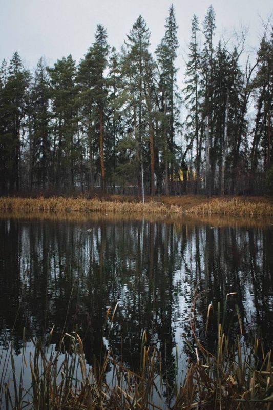 Еще пока осенние краски на Цимлянском озере