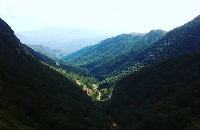 Райское наслаждение от 140 тысяч на двоих: прямые рейсы из Тюмени оживили спрос на Вьетнам