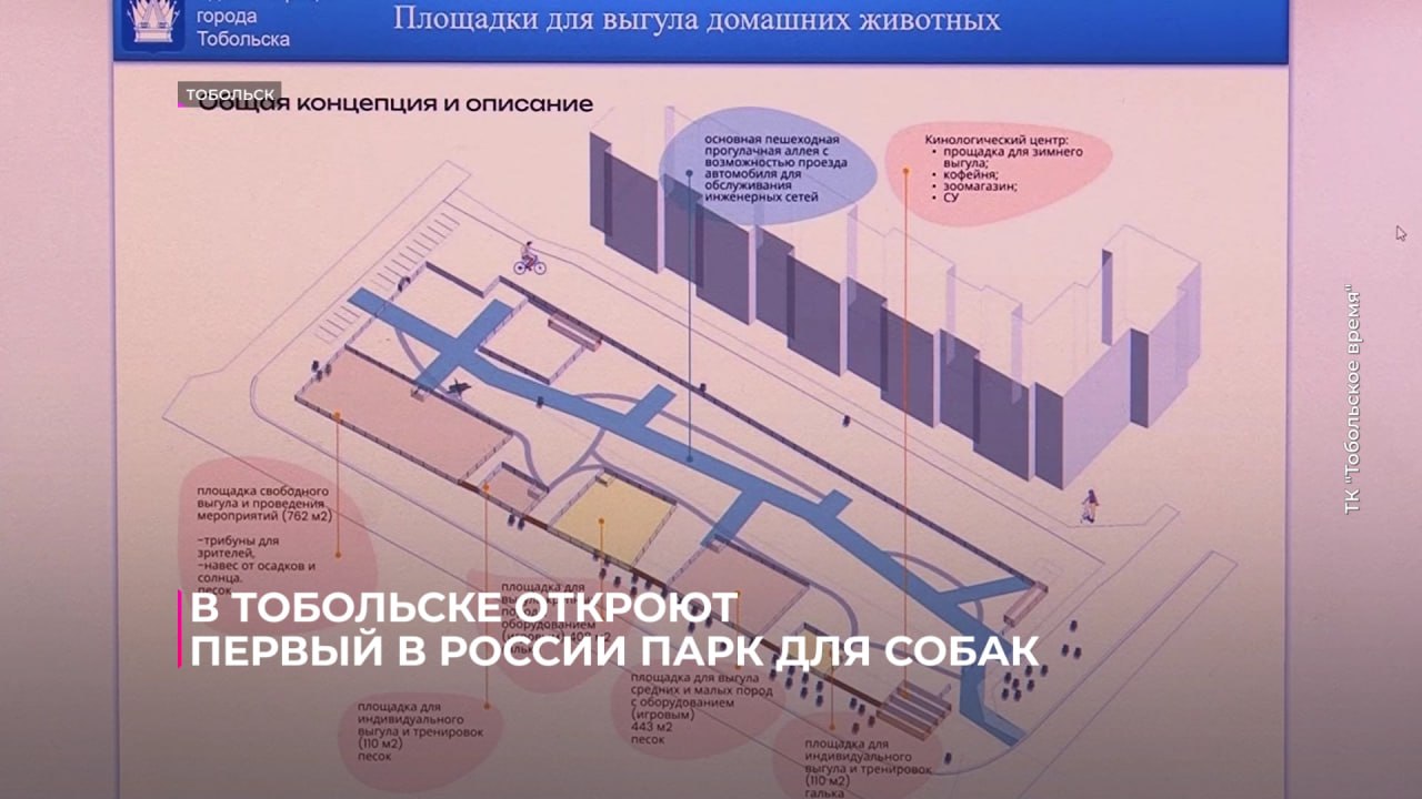 В Тобольске откроют первый в России парк для собак