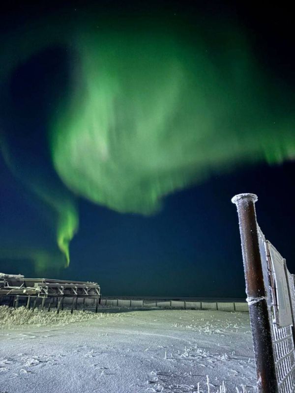 Доброе утро. Ямальцев накануне порадовало северное сияние! МегаТюмень