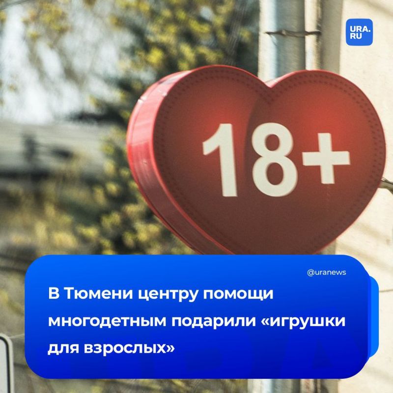 «Игрушки для взрослых» подарили центру помощи многодетным