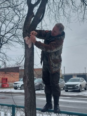 Проявите доброту к пернатым!