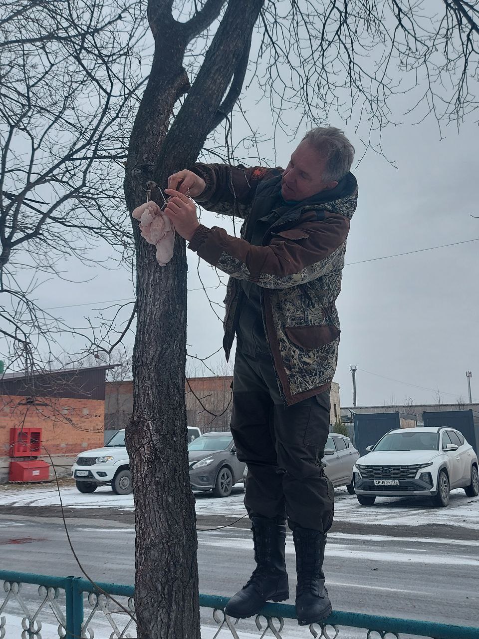 Проявите доброту к пернатым!