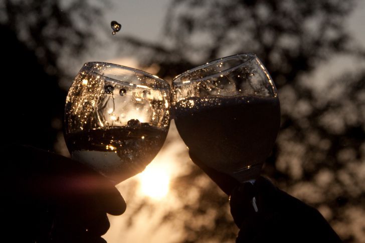 Почему нельзя пить алкоголь при похудении: об этом молчат диетологи