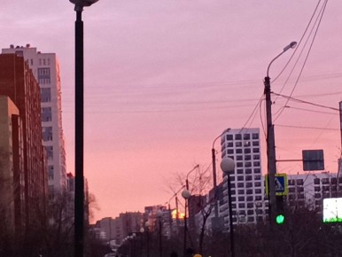 Розовый фламинго дитя заката