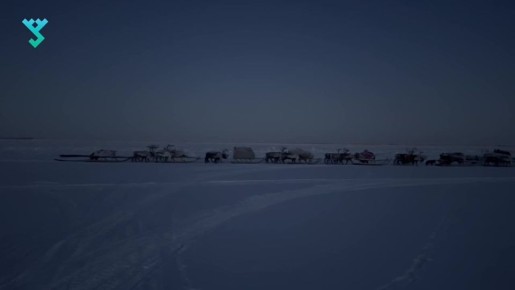 Залипательное с Ямала. 2 500 оленей и 4 аргиша след в след идут по льду Оби