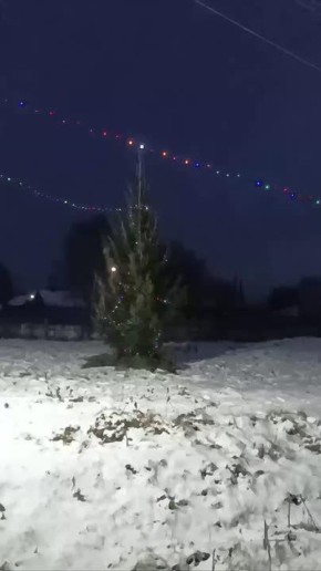 Праздник к нам приходит: в Вагайском районе местные жители уже поставили елочку