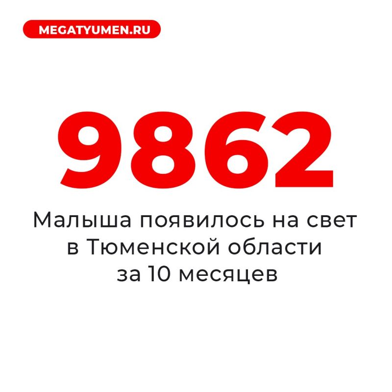       !   2025     1 131    66  ,    