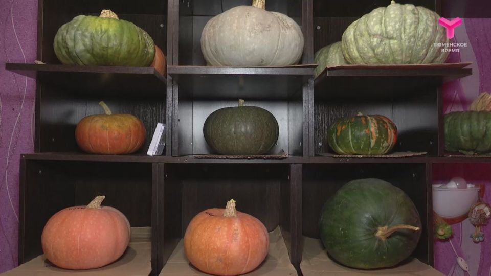 Любительница тыкв. Тыква всему голова! По крайней мере, в доме у Инны Коноваловой