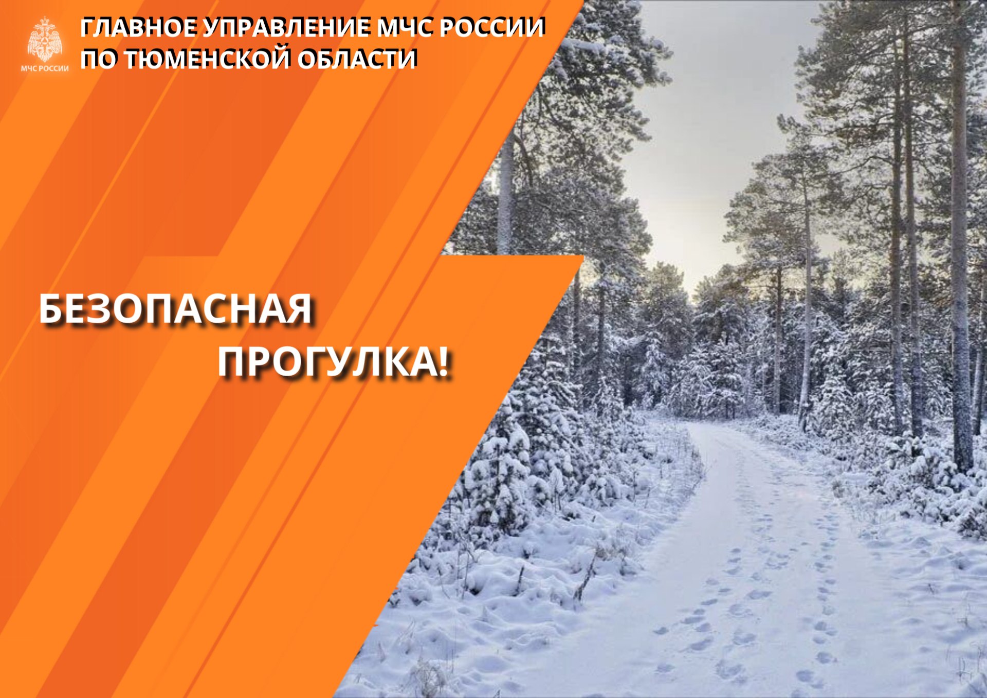 Близятся холода, но это не повод отказываться от прогулок на природе