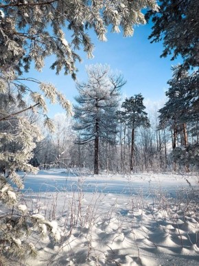 Зимняя сказка с Ямала. МегаТюмень
