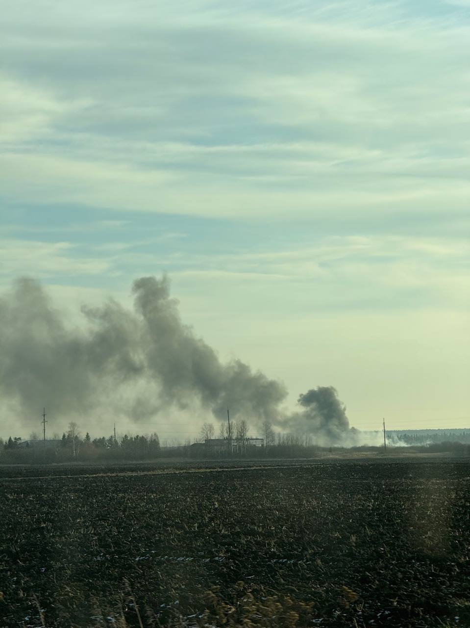 Начали сжигать кур днем?. Тюменцы заметили столб дыма в районе Онохино, где должны избавляться от трупов зараженных куриц «В Онохино сжигают куриц вместе со старыми покрышками, тем самым загрязняют экологию. Горит днём и... Начали сжигать кур днем?. Тюменцы заметили столб дыма в районе Онохино, где должны избавляться от трупов зараженных куриц «В Онохино сжигают куриц вместе со старыми покрышками, тем самым загрязняют экологию. Горит днём и...