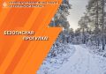 Близятся холода, но это не повод отказываться от прогулок на природе
