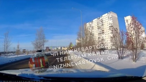 В ХМАО собака напала на школьника