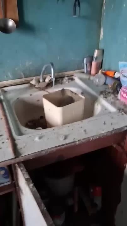 В Тюмени нашли квартиру, заселенную голубями и тараканами