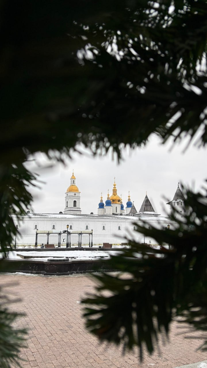 В Тобольске установили главную елку! В Тобольске установили главную елку!