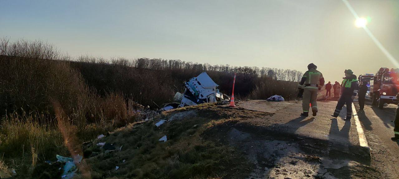 Фура протаранила остановку из-за взрыва переднего колеса Фура протаранила остановку из-за взрыва переднего колеса