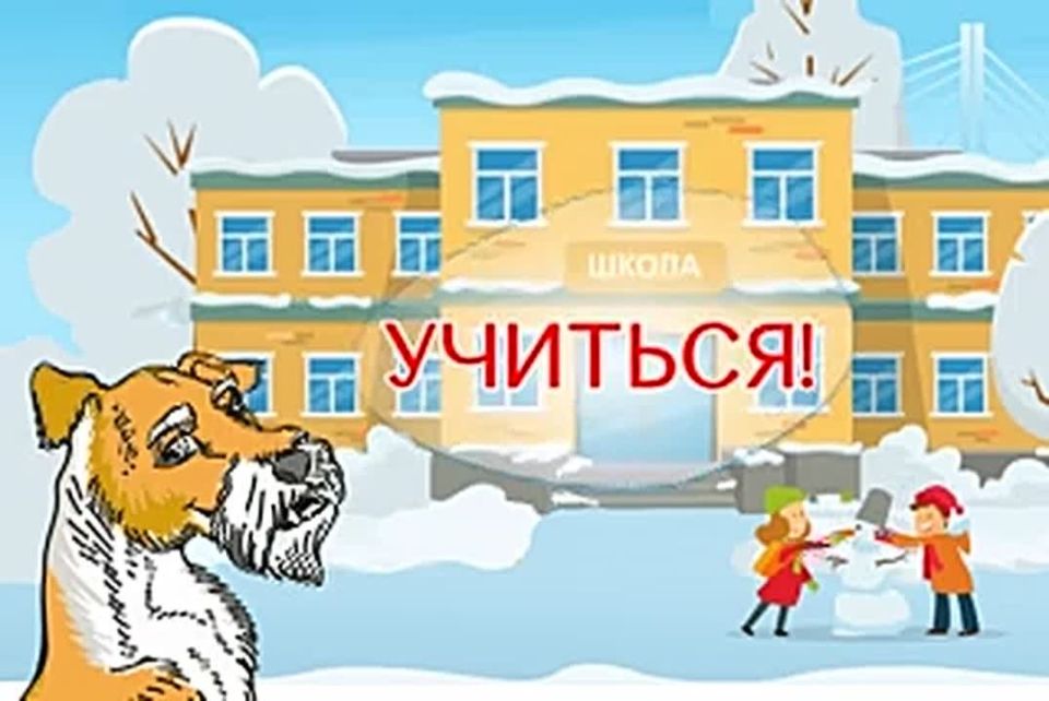 Где узнать об актировках в школах Тюмени?