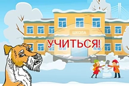 Где узнать об актировках в школах Тюмени?