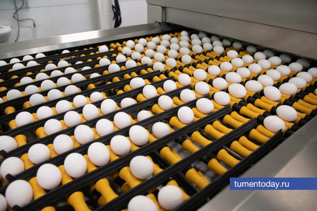 Суд взыскал с птицефабрики «Боровская» более 5 млн рублей долга по экологическому сбору