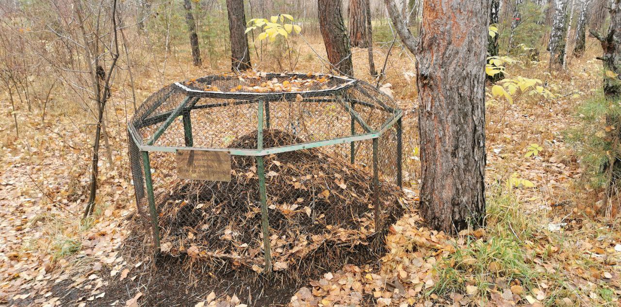 Помните, мы обсуждали, как птицы, летящие клином, демонстрируют чудеса коллективного разума? Но это не единственный пример слаженной работы в природе