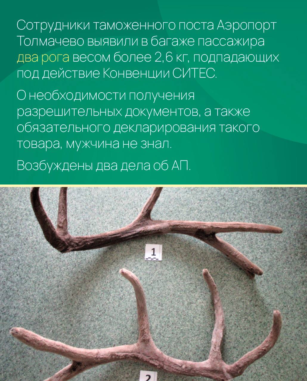 Картина недели. Работа таможенников в регионах: Картина недели. Работа таможенников в регионах: