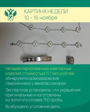 Картина недели. Работа таможенников в регионах: