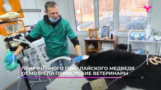 Обзор событий этого дня на 72 секунды: