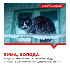 С 15 ноября тюменских школьников будут информировать об отмене занятий из-за морозов
