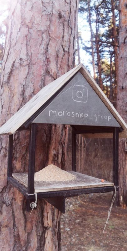 С заботой о братьях наших меньших