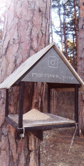 С заботой о братьях наших меньших