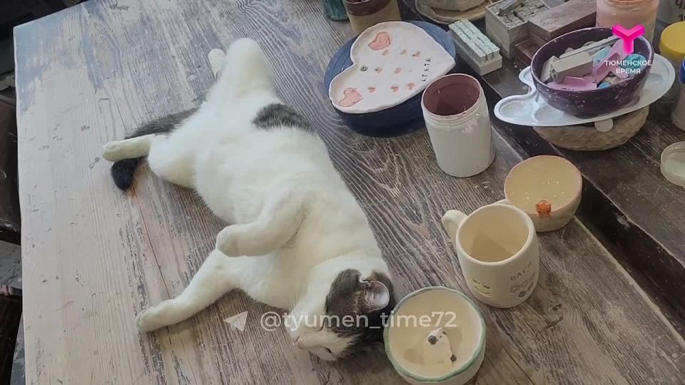 Он несёт службу круглые сутки, но это не мешает ему наслаждаться жизнью