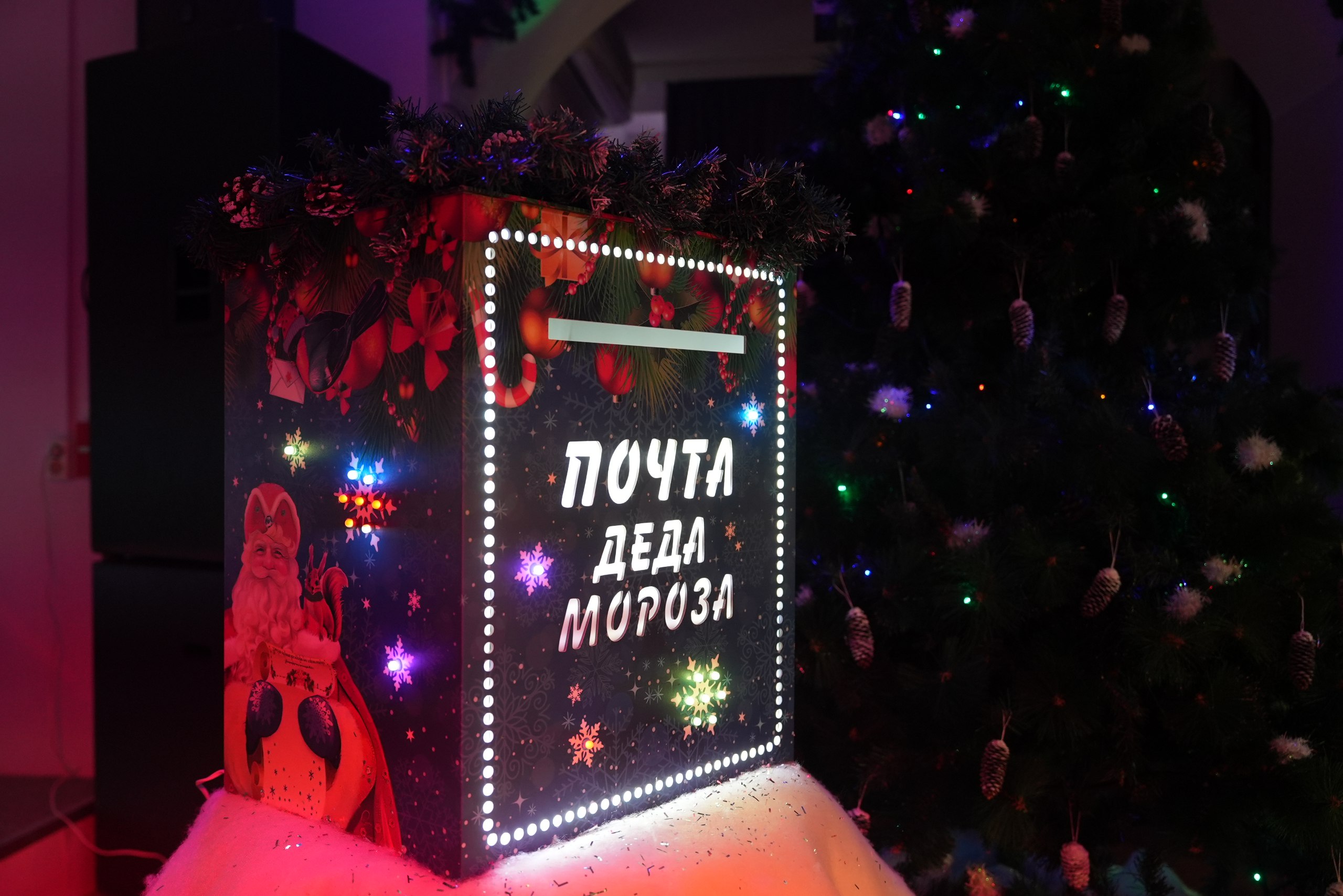 Вчера, 18 ноября, в Тюмени состоялось по-настоящему радостное событие Вчера, 18 ноября, в Тюмени состоялось по-настоящему радостное событие