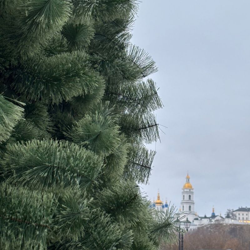 Александровский сад встретил свою новогоднюю красавицу