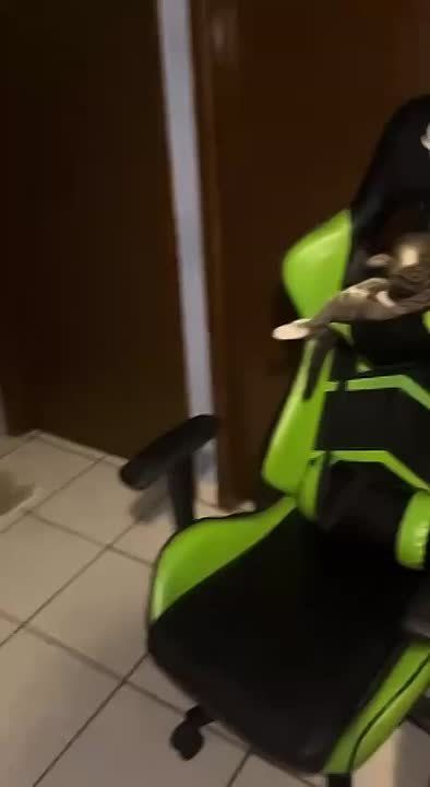 Среда почти все, пора спать